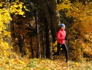 Bieganie jesienią